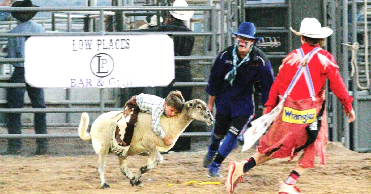Fort Verde Days rodeo a success Camp Verde Bugle Fort Verde Days rodeo a success Camp Verde Bugle