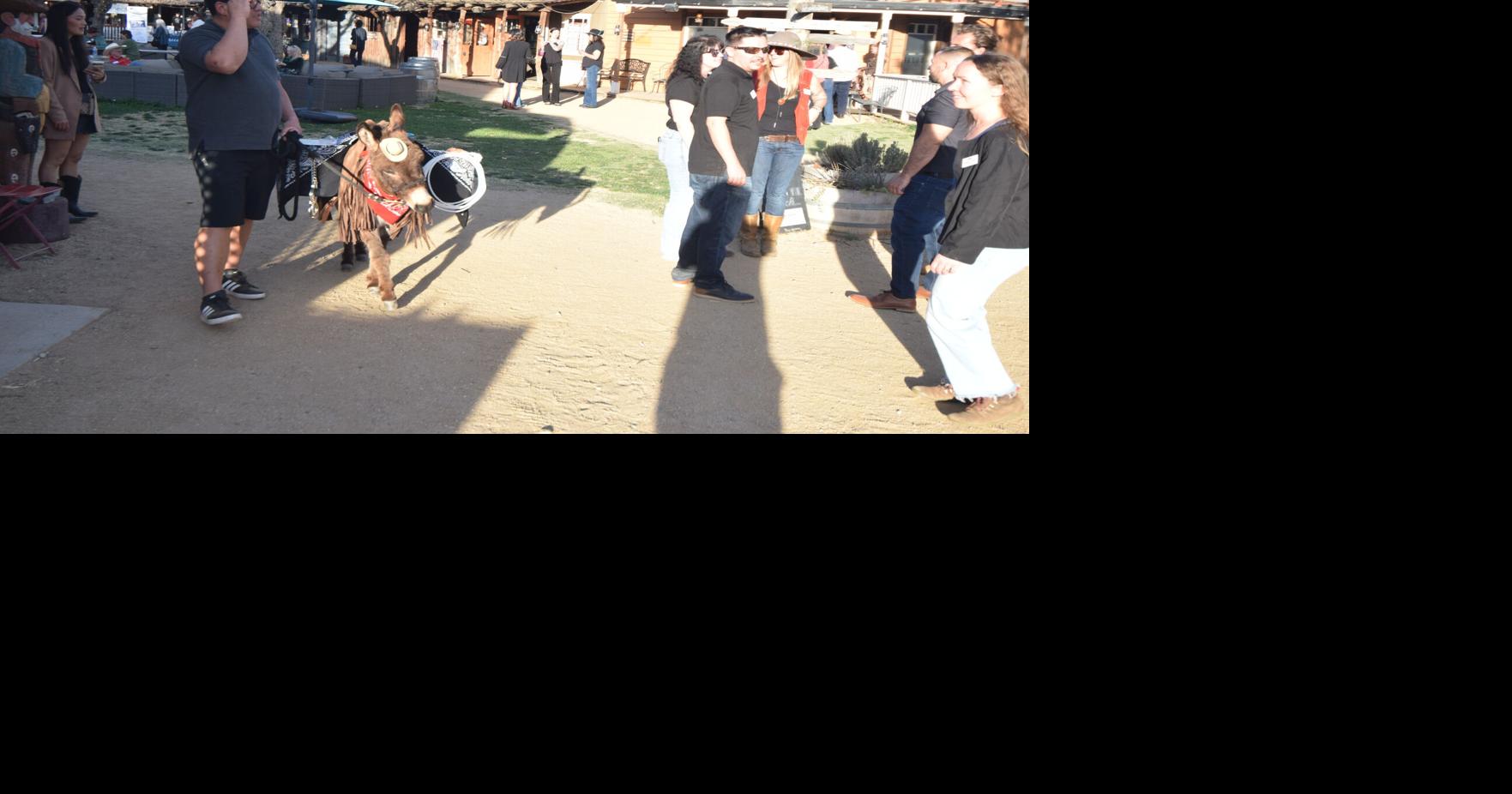 A cowboy-themed networking night to remember at Blazin’ M Ranch | News ...