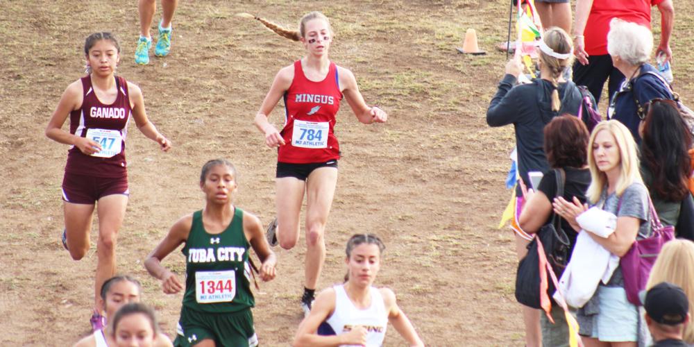 Senior Hannah DeVore caps solid Mingus career in state championships