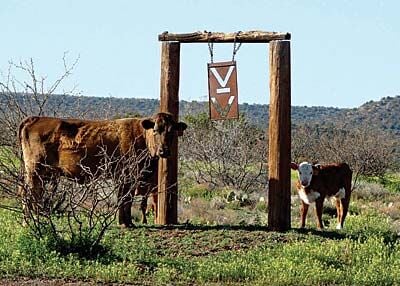 History lesson on V Bar V Ranch | Villager | verdenews.com