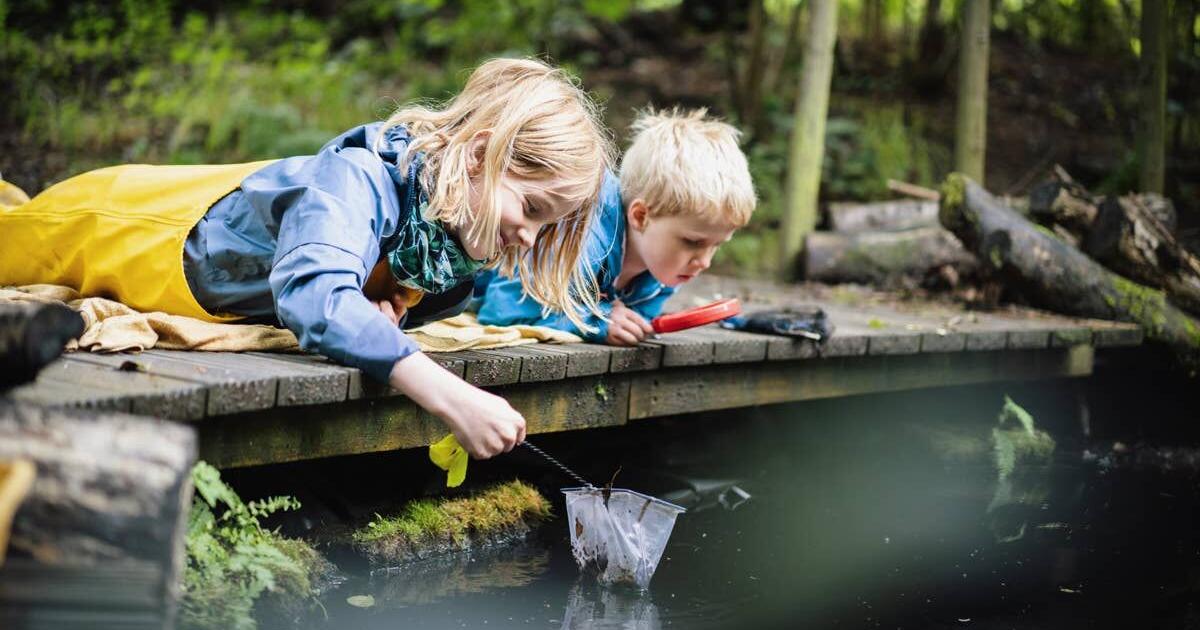 two-brothers-pond-dipping-at-forest-school