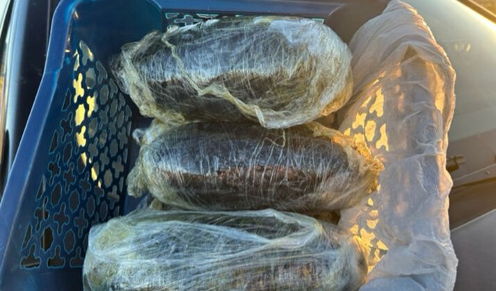 Traffic stop leads to drug charges | News | verdenews.com
