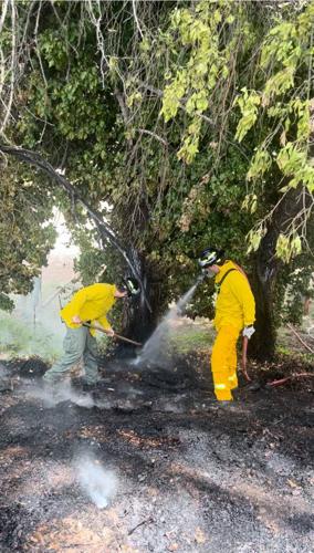 Firefighters tackle brush fire at scene of head-on crash | News ...