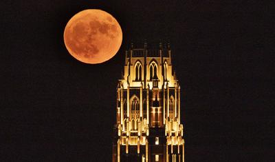 Rare blue supermoon brightens night sky this week | Odd & Unusual ...