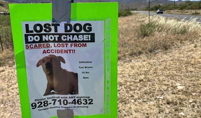 Woman dies, dog missing after rollover near Clarkdale | News ...