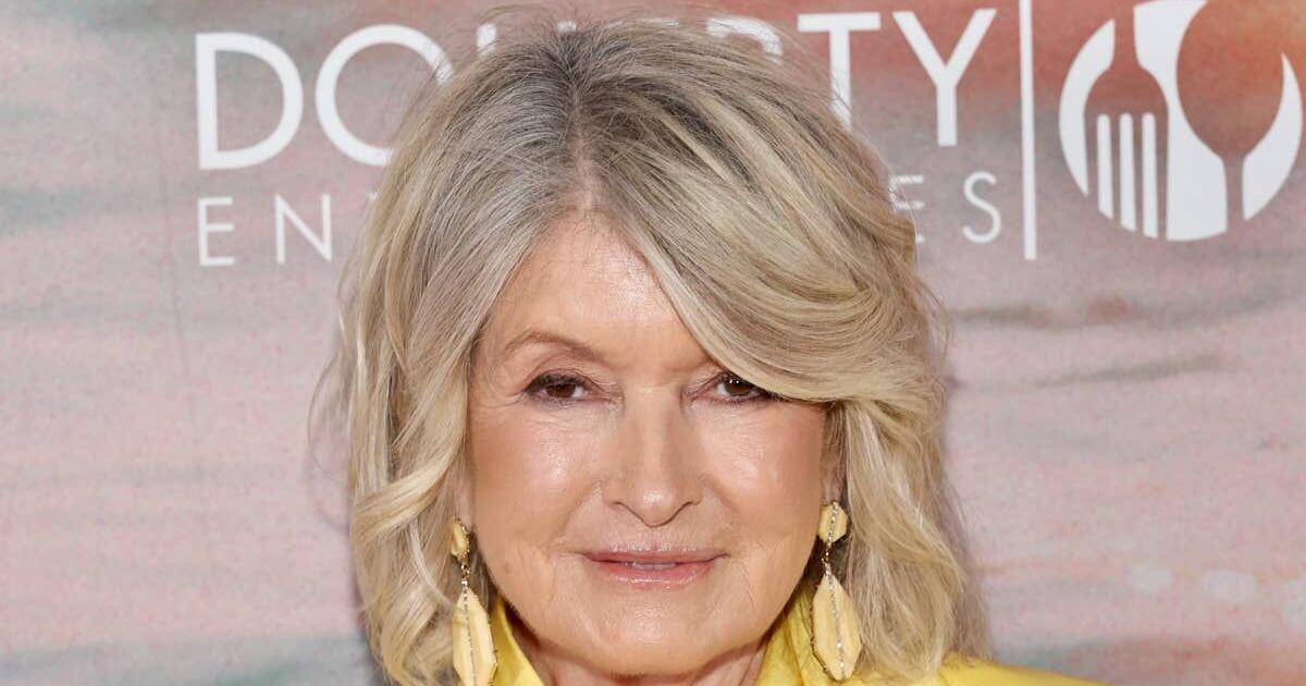 Martha Stewart’s Hand-Loomed Jute Rug Delivers Vintage Style Without the Antique-Store Price