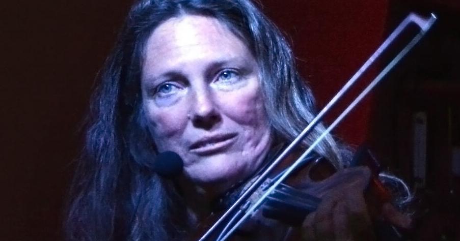 Community Library Sedona Presents The Wild Fiddle Project | Kudos ...