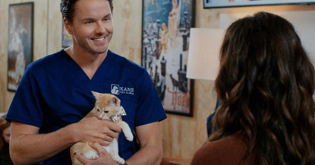 Hallmark Delivers a ‘Purr-fect’ Holiday Treat with Its New Movie ‘Christmas at the Catnip Café’ (Exclusive)