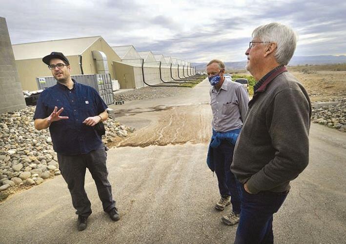 Town studies impact of 7 cannabis grow houses in Camp Verde Camp