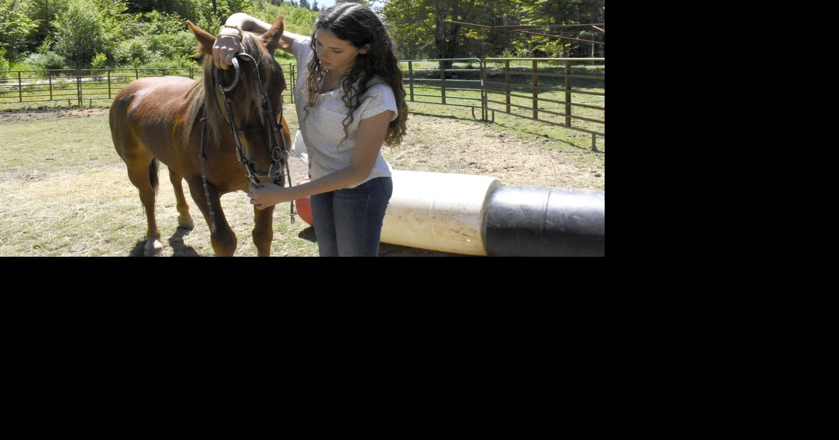 Another Mustang for Izzy | Community News | vernoniasvoice.com