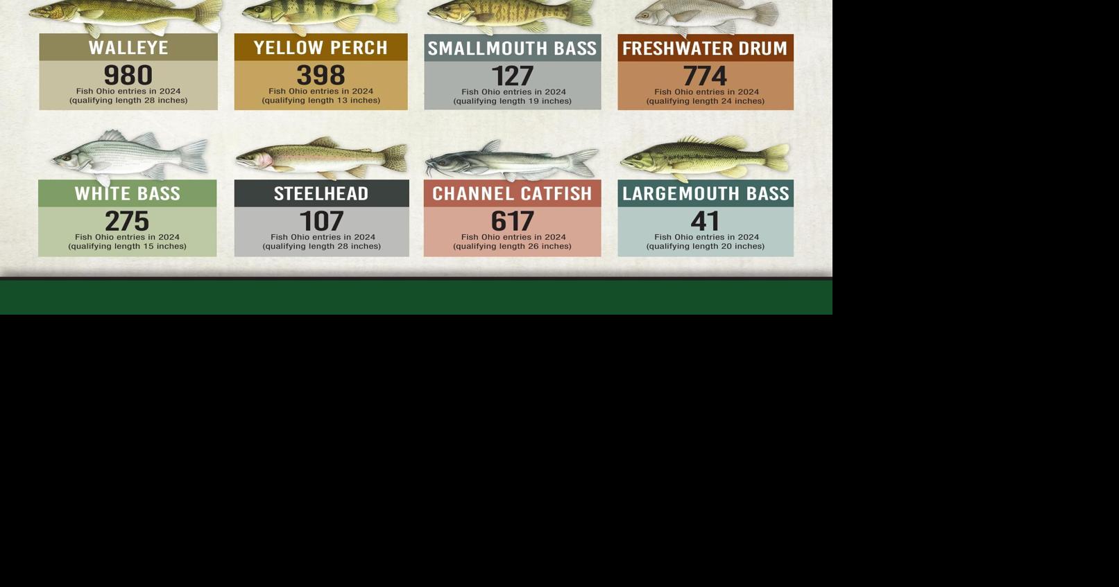 Find Fish Ohio success at Lake Erie | Community | vintonjacksoncourier.com
