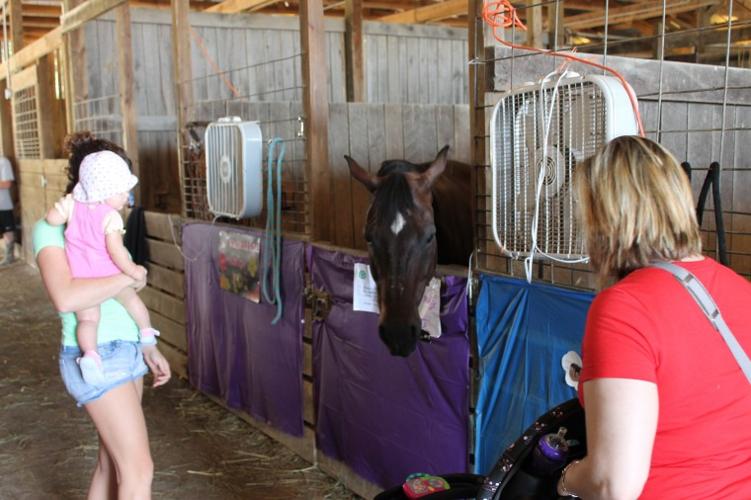 Vinton County Jr. Fair News