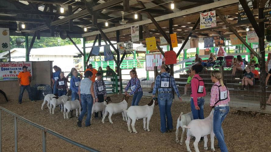 Vinton County Jr. Fair back another year News