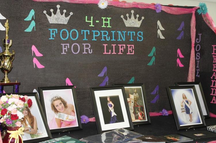 Vinton County Jr. Fair News