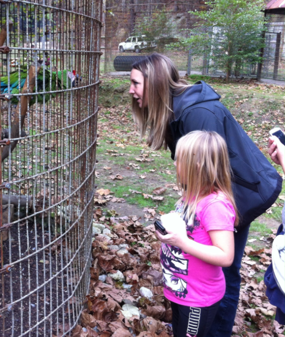 Union Ridge Wildlife Center hosts animal showcase | News