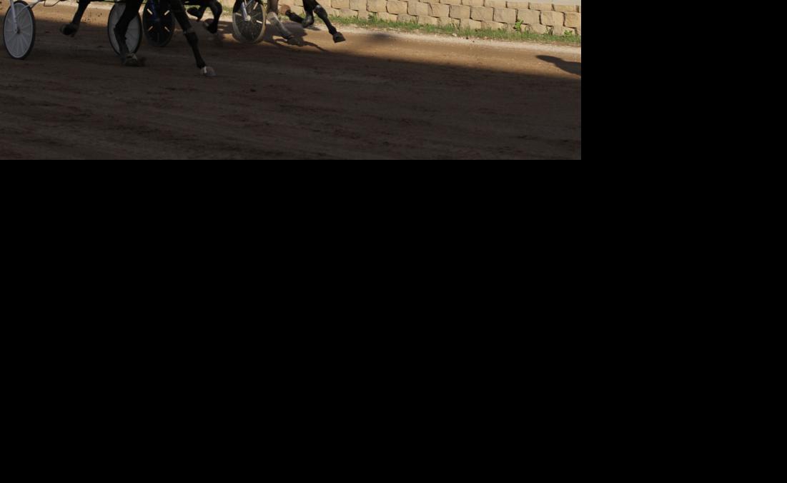 Best Photos from Harness Racing at the Jackson County Fair ...
