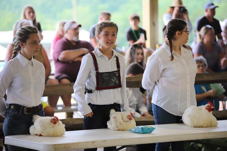 Horse, rabbit and poultry results from Vinton County Fair News