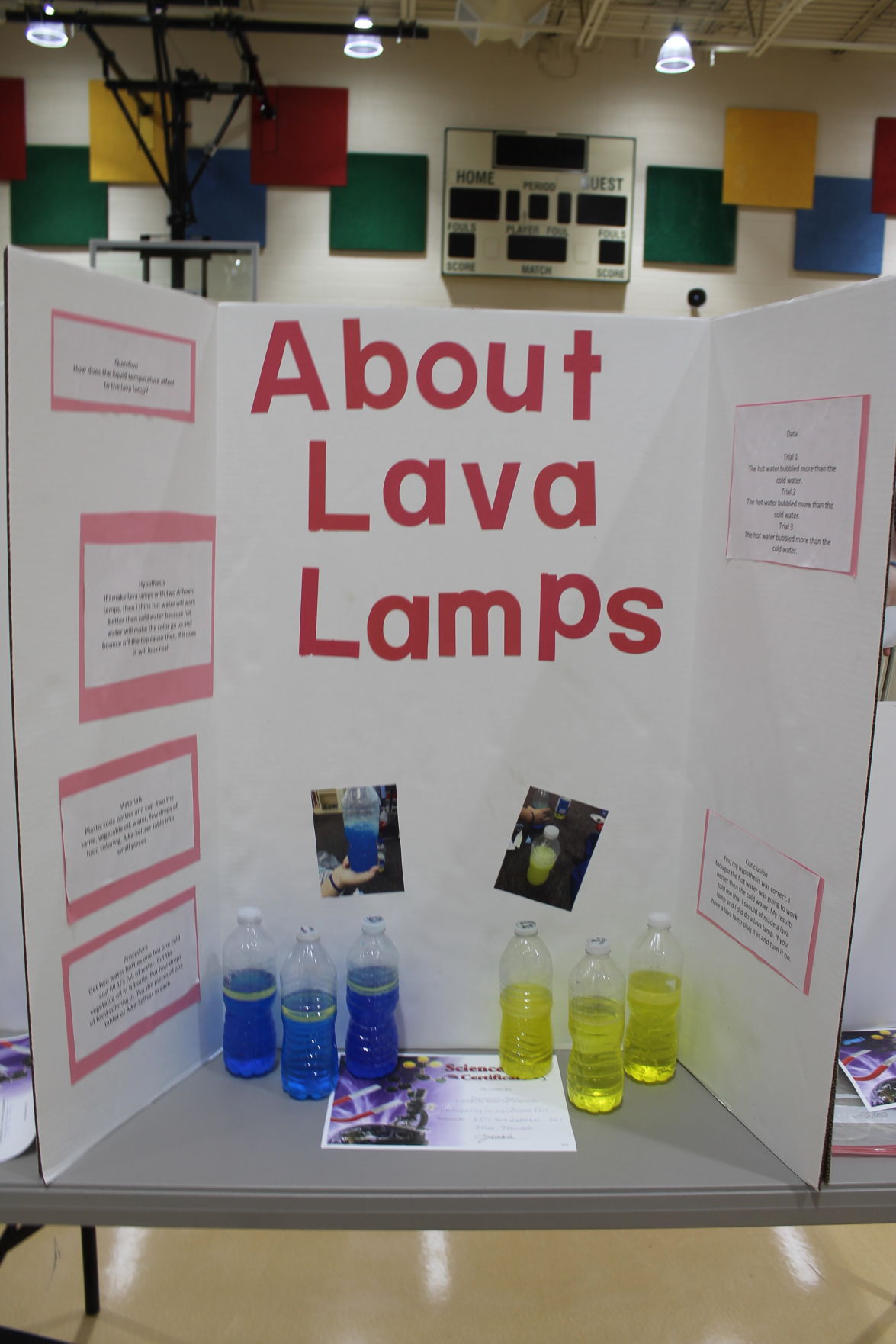 West Elementary Science Fair | Uploaded Photos | vintonjacksoncourier.com