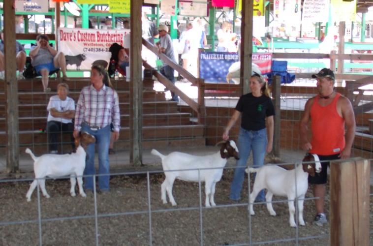 Vinton County Jr. Fair News