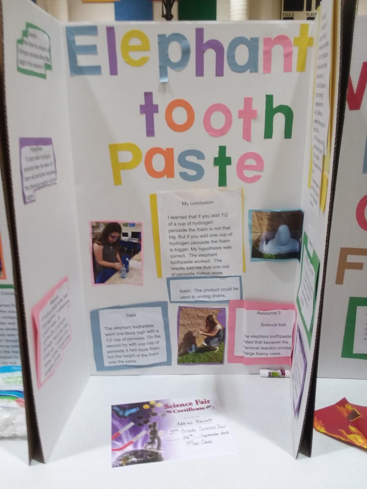 West Elementary Science Fair Uploaded Photos