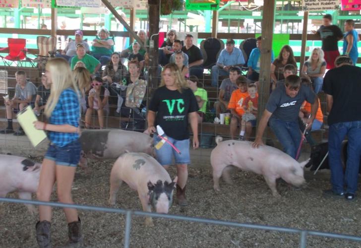 Vinton County Jr. Fair News