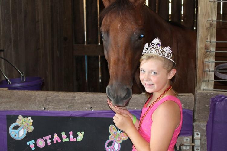Vinton County Jr. Fair News