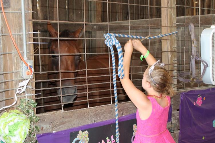 Vinton County Jr. Fair News