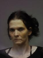 Vinton Woman Arrested on Drug Charges