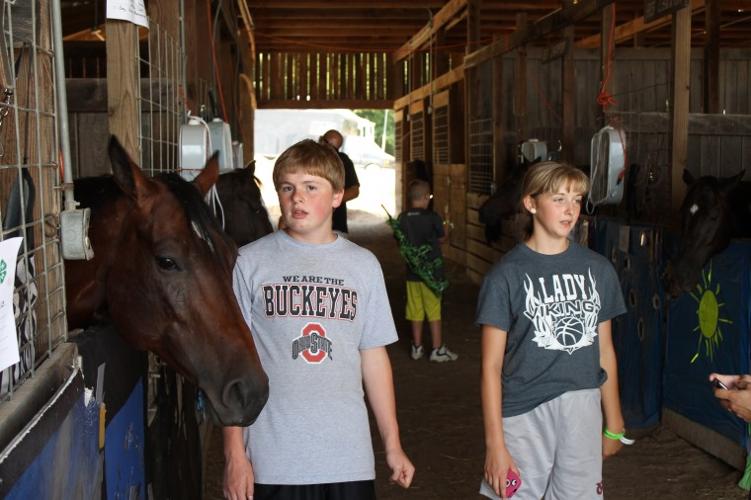 Vinton County Jr. Fair News