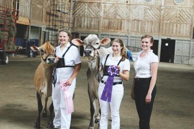 4-H Dairy Show champs