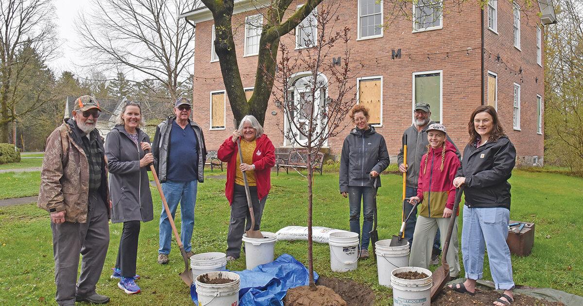 Noyes House preservation project gets underway