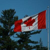 Canada's reopened cod fishery on shaky ground