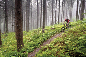 “Vermont offers some of the most pristine, comprehensive off-road biking trail systems in the country, accommodating all levels of ability,” says Scott Search.