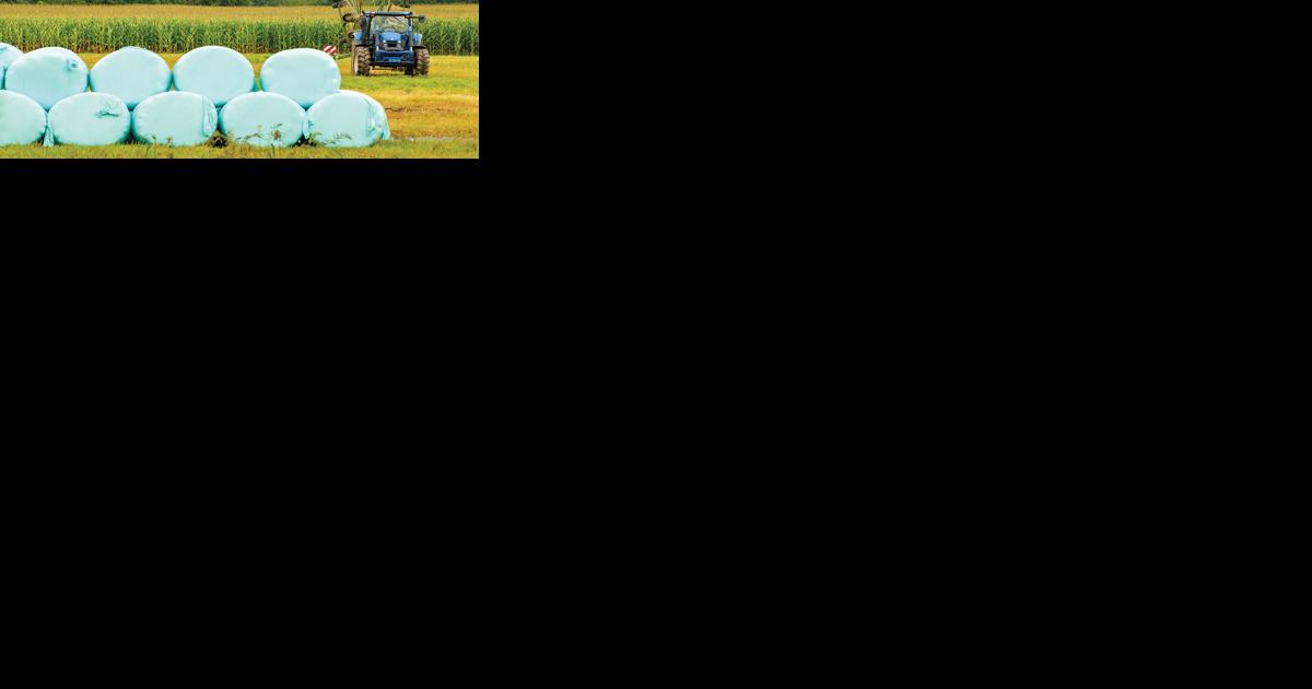 $2.5 million effort: Ricketson Farm conserved - Vimarsana News