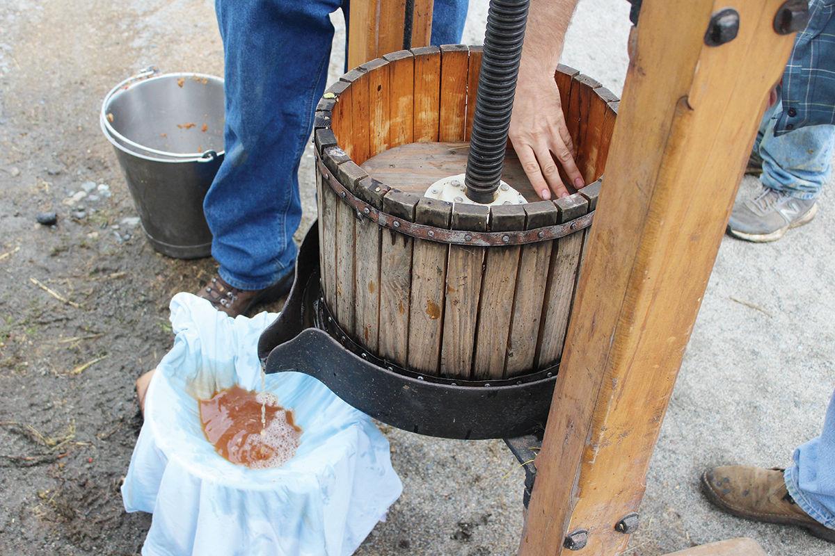 Cider Press Rules From Apple To Glass Food Drink Vtcng Com Cider Press Rules From Apple To Glass Food Drink Vtcng Com