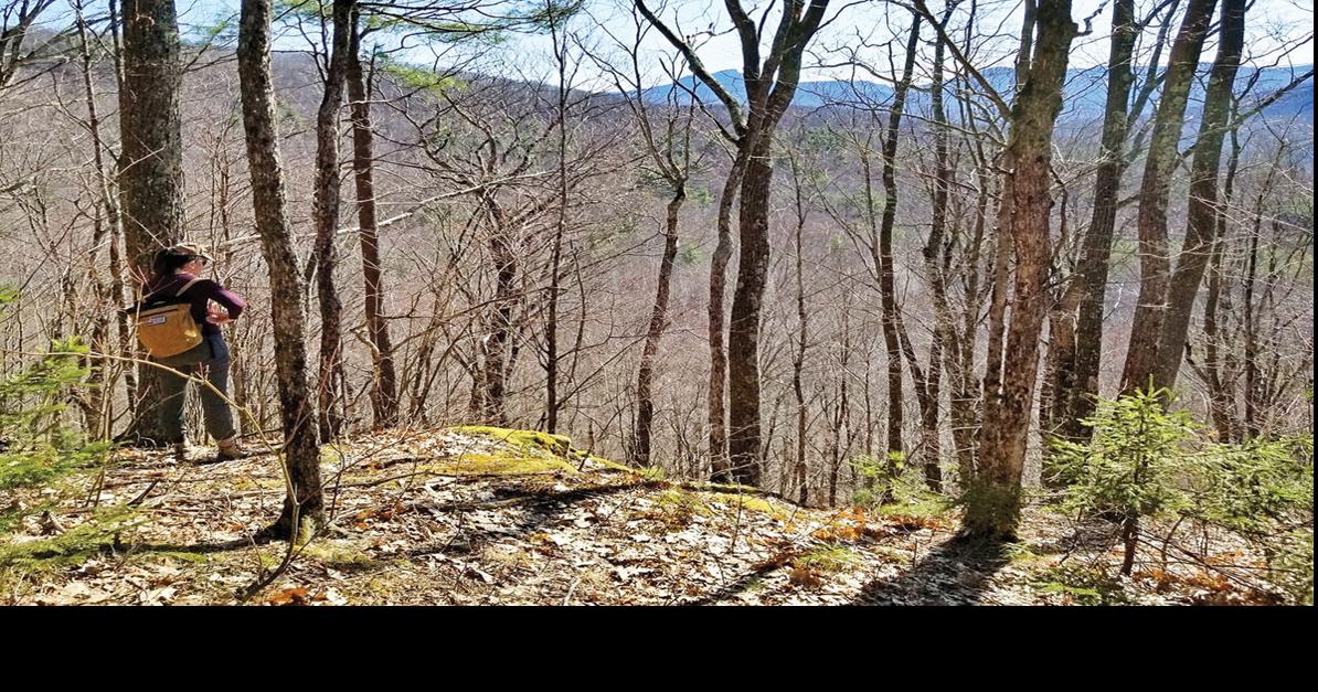 Hinesburg Town Forest set to add 291 acres Hinesburg News