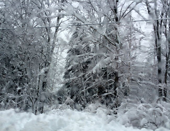 Snow blankets the region