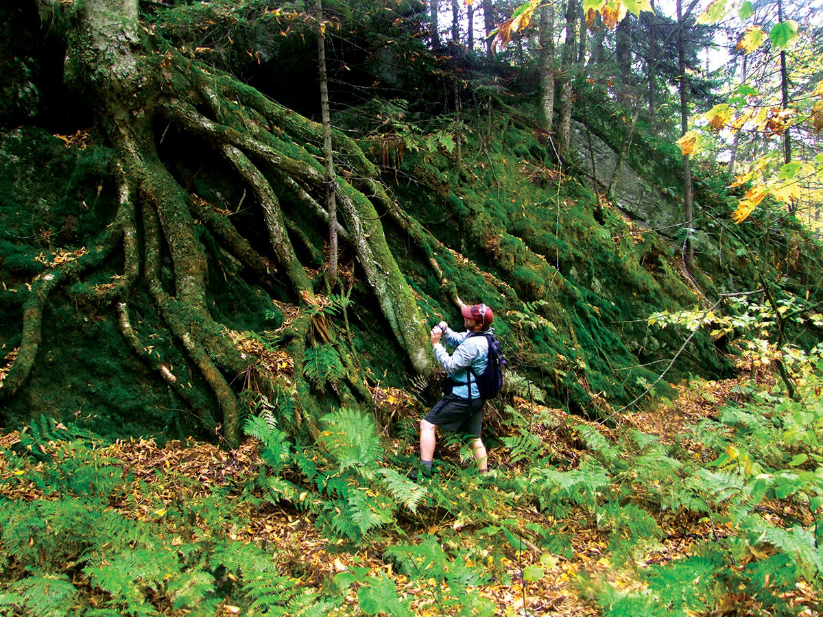 Devil's Gulch: Long Trail hike evokes Indiana Jones adventure