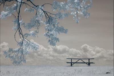 Infrared photography