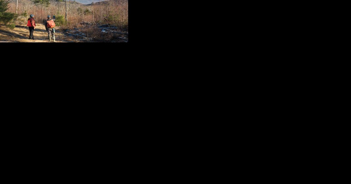 Explore wildlife in Hinesburg forest - Vimarsana News