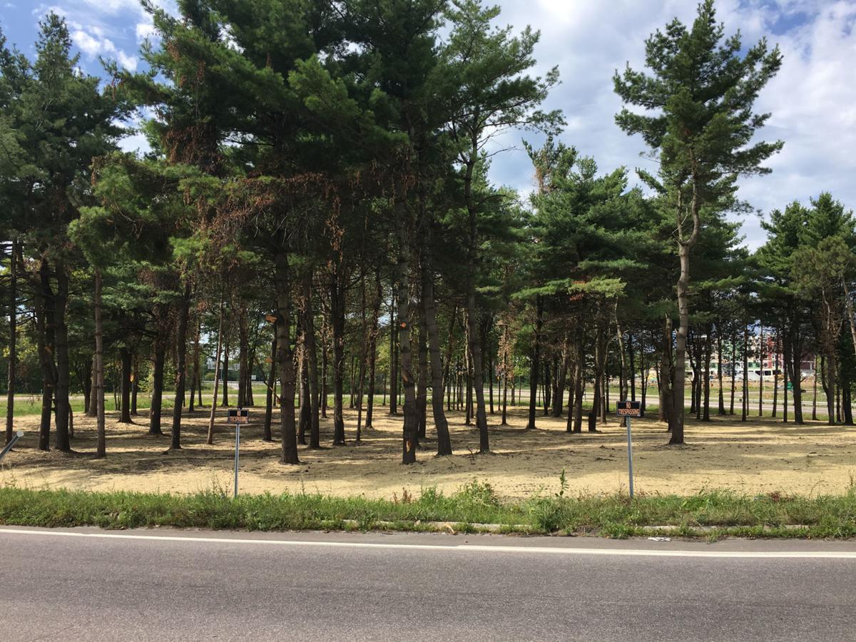 VTrans clears site of former homeless encampment | Local ...