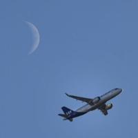 ईंधन की कीमतें बढ़ने के बाद एसएएस ने उड़ानें रद्द कीं