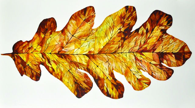 Big Oak Leaf III