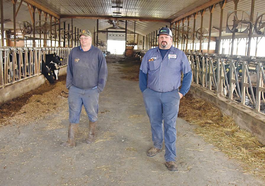 To save its 150yearold farm, Hyde Park family turns to goats Local
