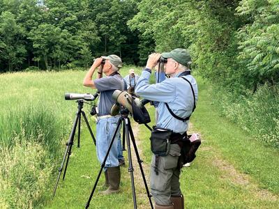 ‘It’s a bird, it’s a ...’