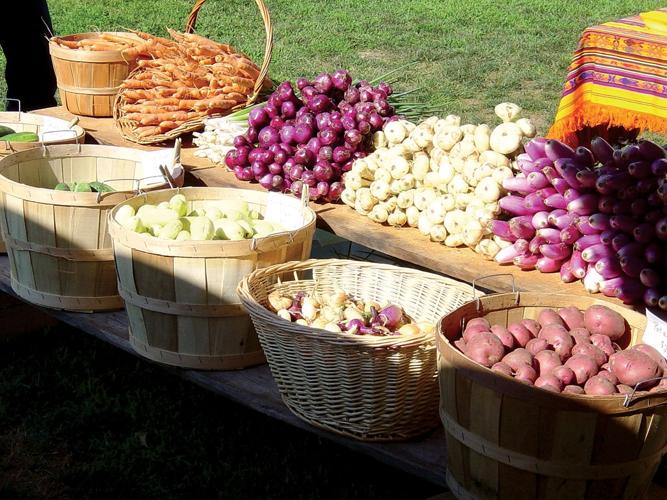Shelburne Farmers Market