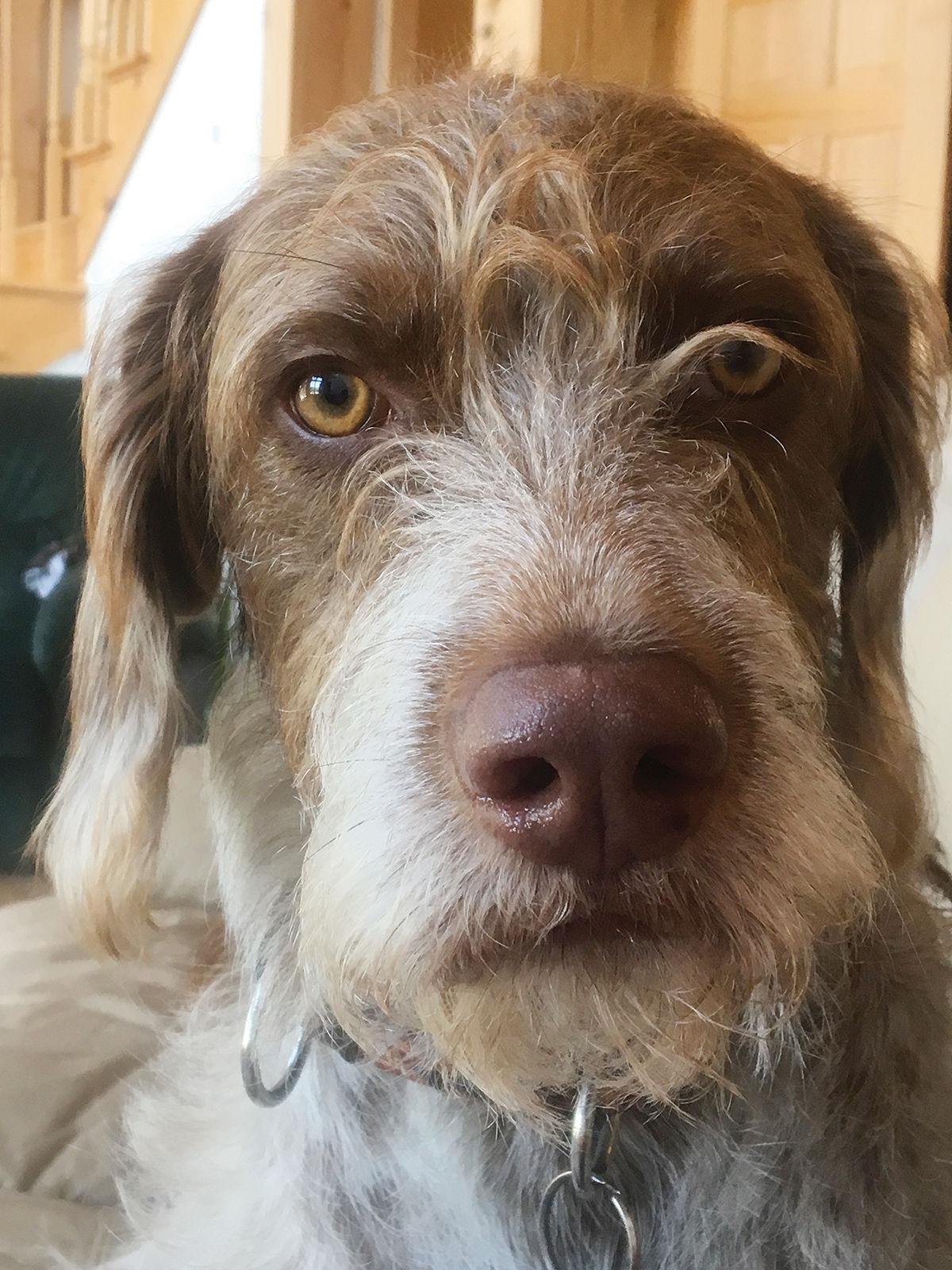 Oscar
