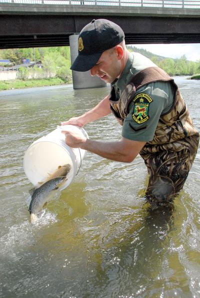 Vermont’s annual trophy trout stocking is now underway