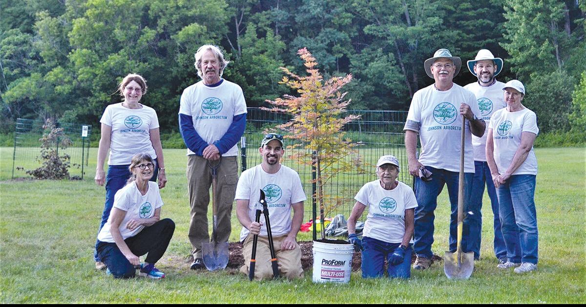 Johnson Tree Board wins accolade Community