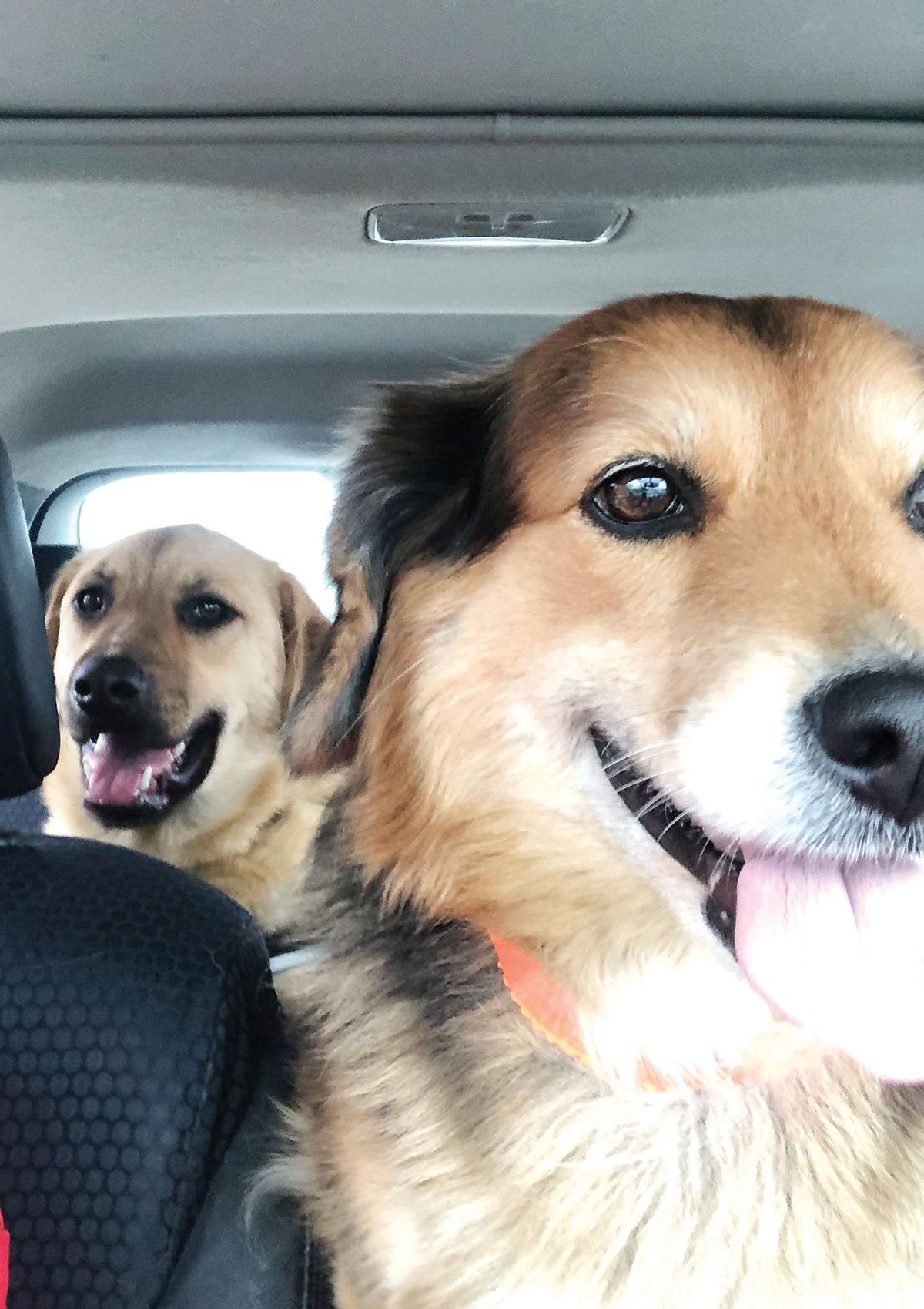 Oliver & Nikita